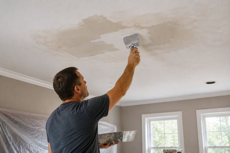 Attic Water Damage Repair in Alpharetta, GA