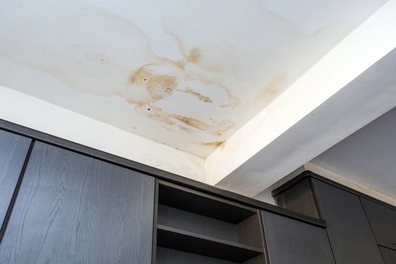 Attic Water Damage Repair in Houston, TX