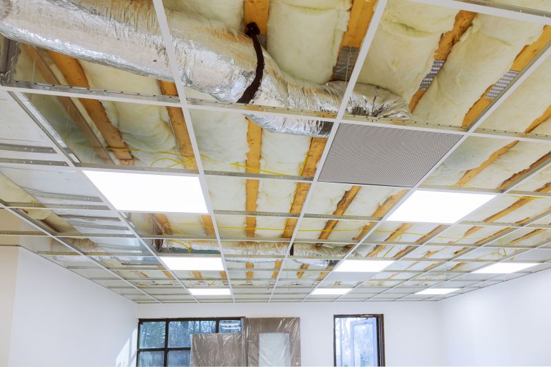 Ceiling Removal Service in Alpharetta, GA