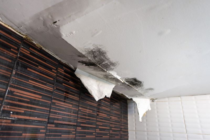 Water Damage Ceiling Repair in Littleton, CO